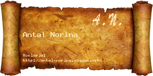 Antal Norina névjegykártya